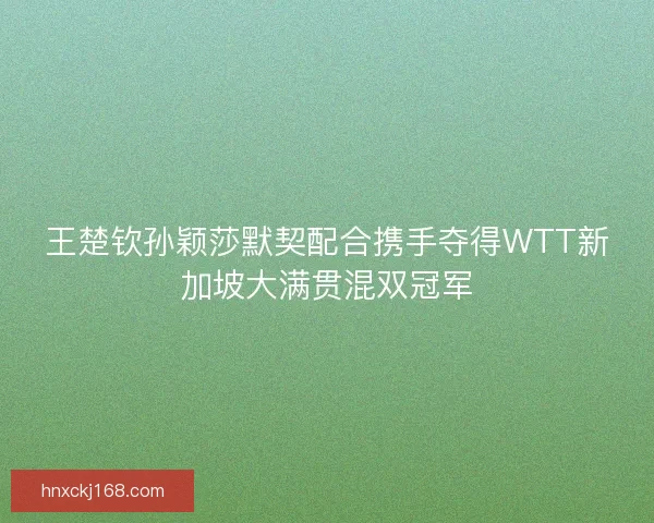 王楚钦孙颖莎默契配合携手夺得WTT新加坡大满贯混双冠军